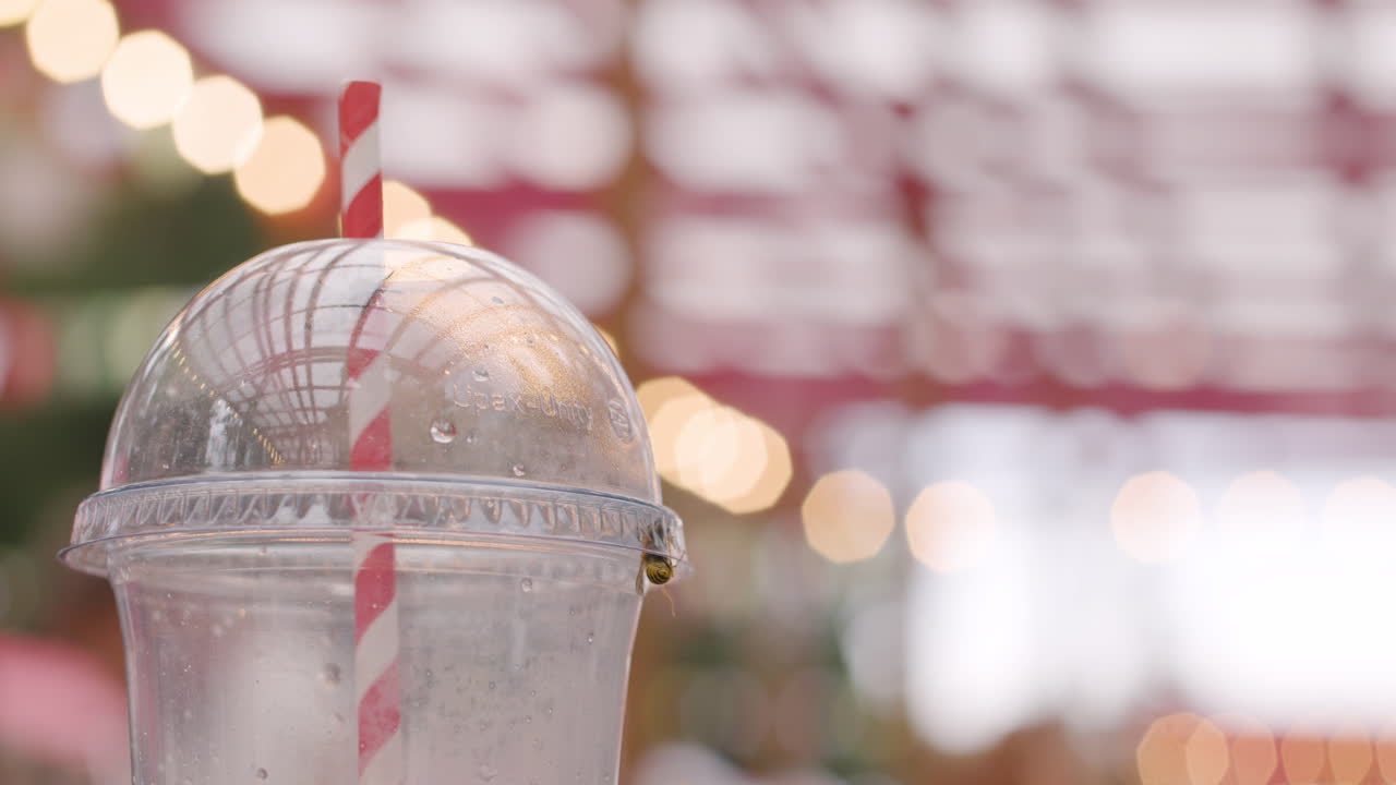 플라스틱 컵에 있는 벌레