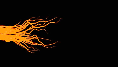 abstract orange roots on black background