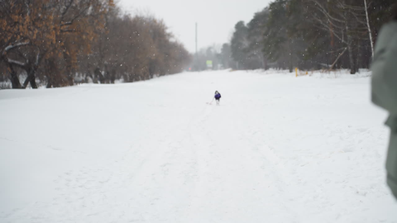 Whippet in purple coat runs through snowy path toward person in green jacket standing in foreground, surrounded by winter trees and snowfall, joyful cold weather moment in open outdoor setting