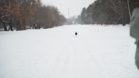 whippet in purple coat runs through snowy path toward person in green jacket standing in foreground, surrounded by winter trees and snowfall, joyful cold weather moment in open outdoor setting