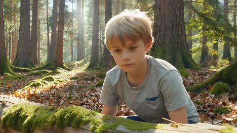 young boy kneeling in forest, looking down at mossy log