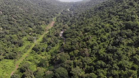 sobrevuelo aéreo carretera india rodeada de verdes montañas forestales durante un día soleado