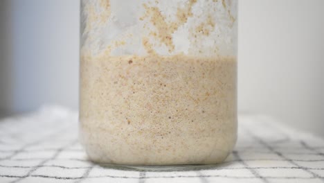 close-up of a glass jar with sourdough fermenting on a checkered cloth