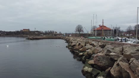 Familia-De-Cisnes-Nadando-Fuera-De-La-Fortaleza-De-Christianholm-Y-El-Rompeolas-Del-Puerto-Deportivo---Antena-De-Baja-Altitud-Moviéndose-Lateralmente-Durante-La-Mañana-Nublada