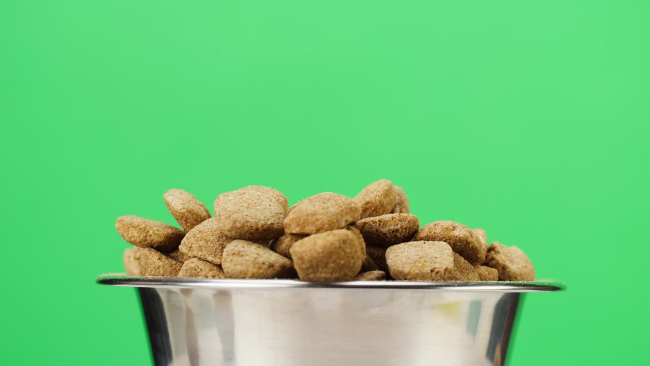 alimento seco para perros en cuenco de metal rotativo de primer plano. gránulos en plato sobre fondo verde. alimentación de animales domésticos, golosinas para cachorros. comida crujiente para gatos de pedigrí. tienda de mascotas y entrega