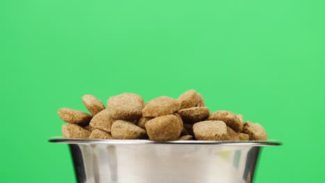 dried dog food in metal bowl close-up rotating. granules in dish on green background. feeding domestic animals, treats for puppies. crunchy meal for pedigree cats. pet shop and delivery