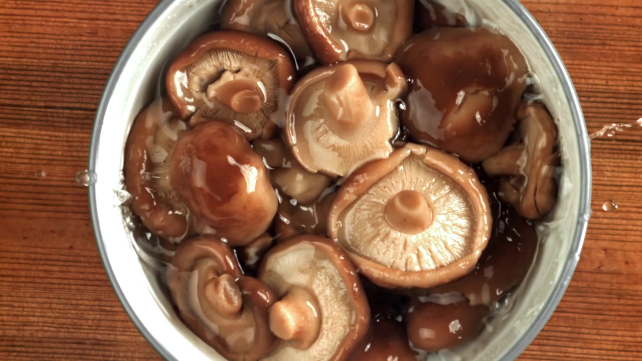 Vann helles over ferske shiitake-sopp som ligger i bløt i en bolle.