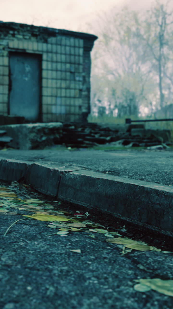 Abandoned structure amidst autumn leaves in a misty landscape setting