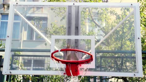 young man throwing a ball to the basket 2