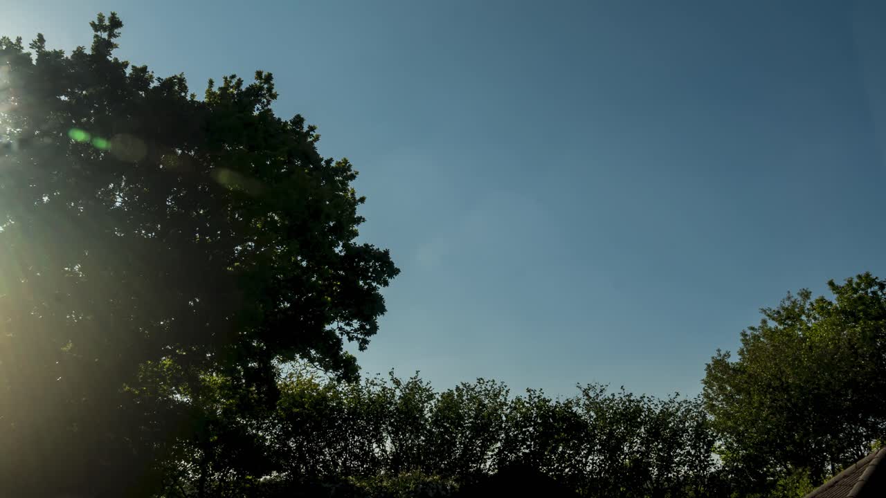 타임랩스, 전경에 나무 꼭대기와 덤불이 있는 황혼으로의 일광, 사우스 웨일즈, 영국