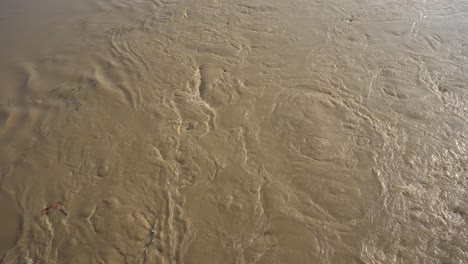 the river water is above danger level