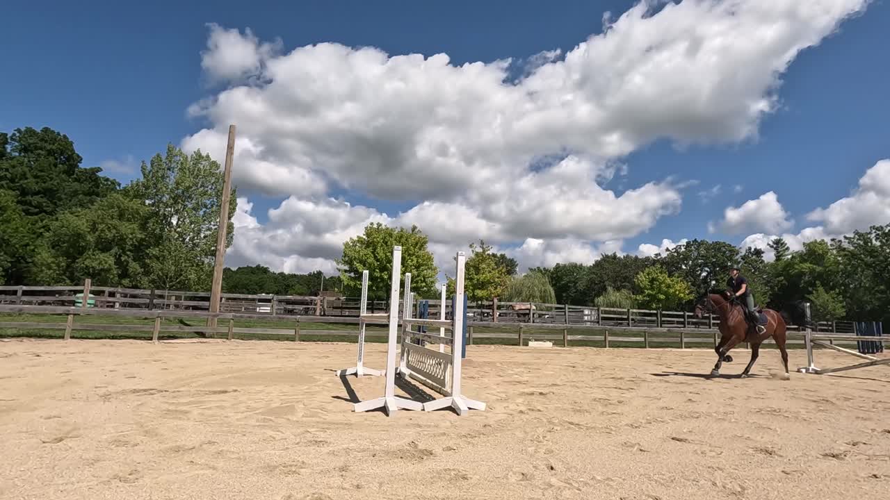 Un cheval brun saute par-dessus plusieurs obstacles dans une carrière équestre extérieure. Des oiseaux survolent par une journée d'été. Filmé au ralenti.