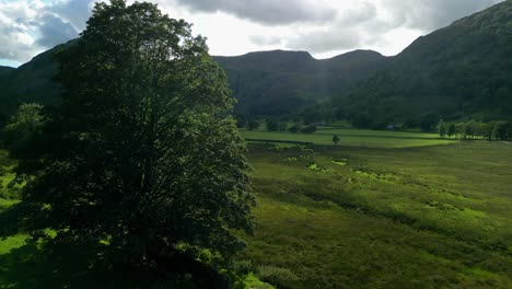 Large-tree-moving-aside-to-reveal-secluded-valley-surrounded-by-mountains-on-summer-day