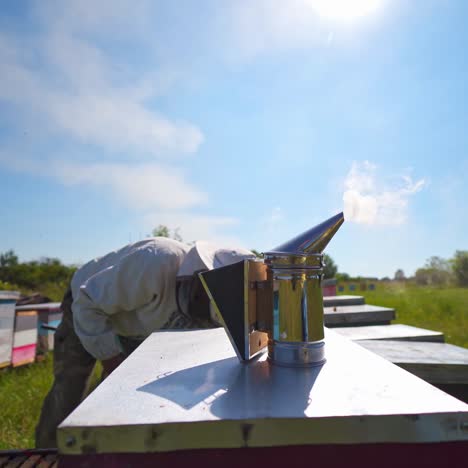 chimney on apiary background. beekeeper working with beehives in a sunny day. apiary concept. camera moves back.