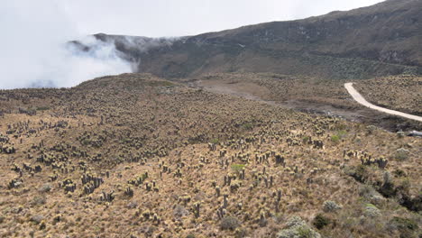 parque de los nevados - maravillosos paisajes de colombia-4