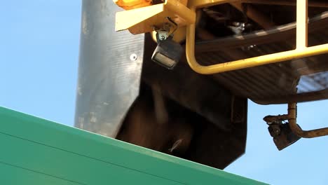 Close-up-of-loading-of-pile-of-sugar-beets-after-harvest-into-a-transporter-near-Straubing-in-Bavaria,-Germany