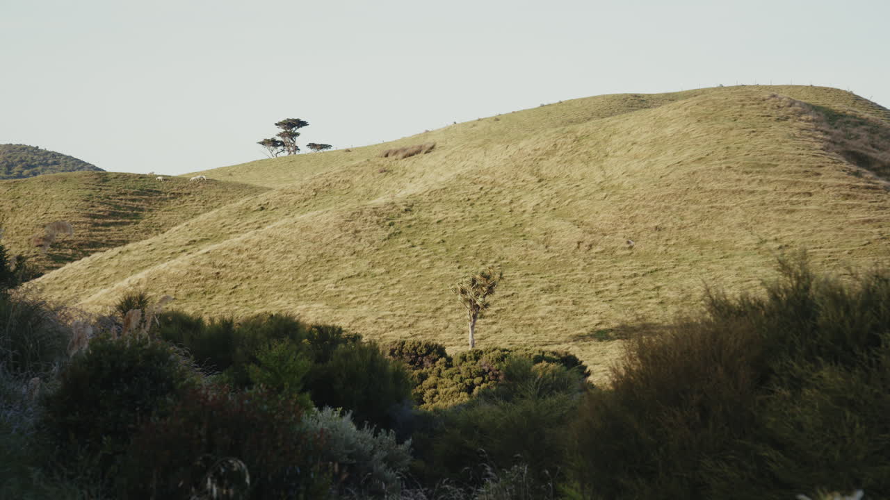 울불한 언덕 풍경