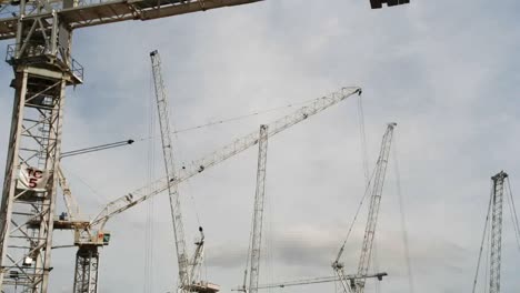 Crane-With-Sky