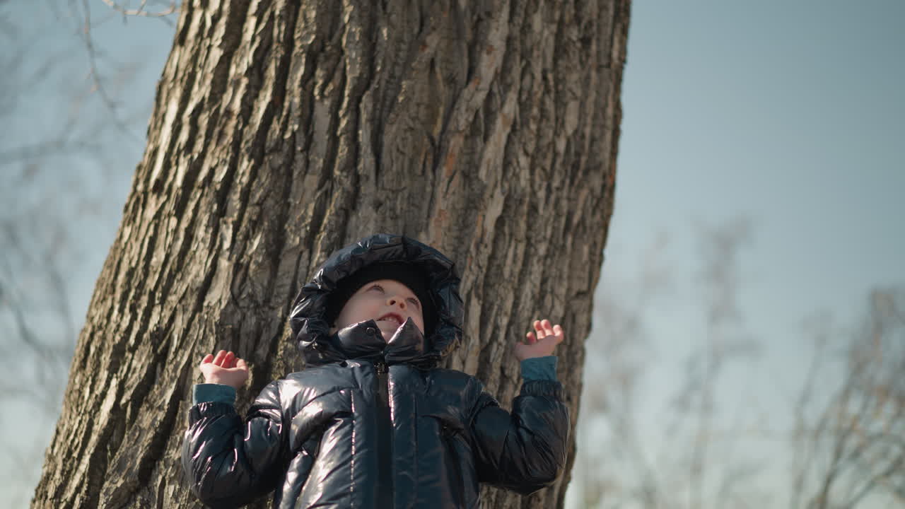 A young boy leaning his back against a large tree trunk, looking upward with both arms raised as if reaching to the sky, he is dressed in a shiny black jacket, with trees around