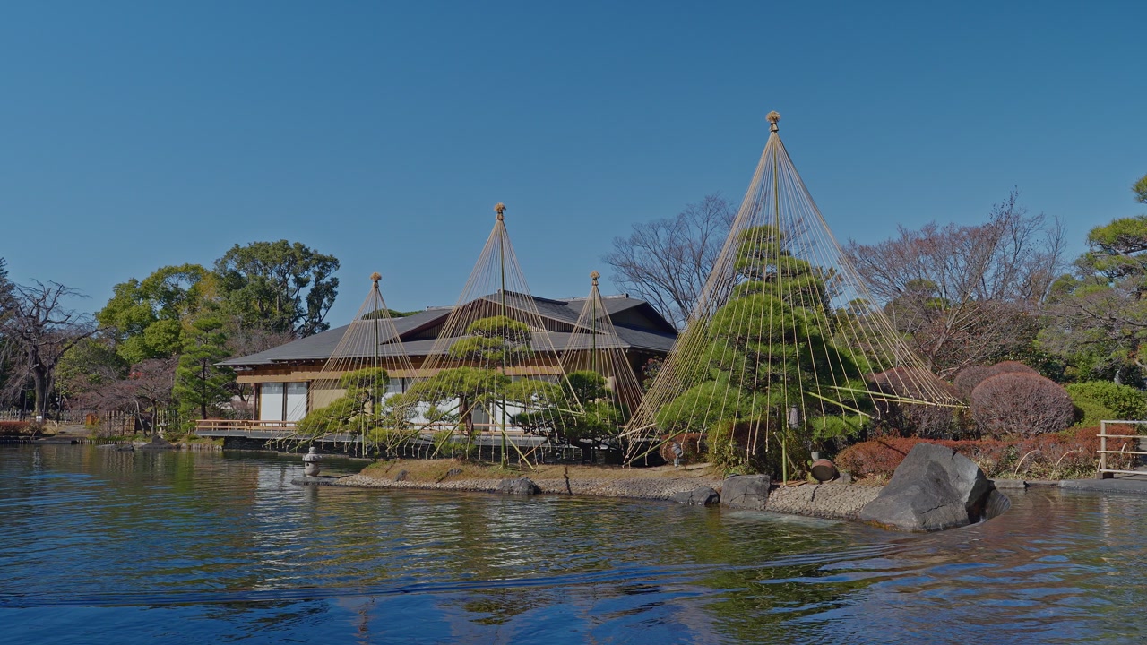 Scenic view of a serene Japanese garden featuring a wooden teahouse, manicured pines with winter ropes, and ripples on a calm pond.