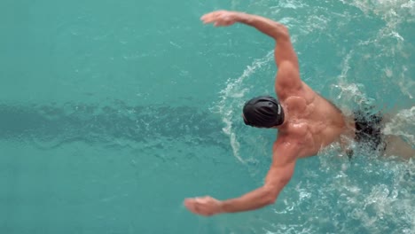 fit man swimming in the pool