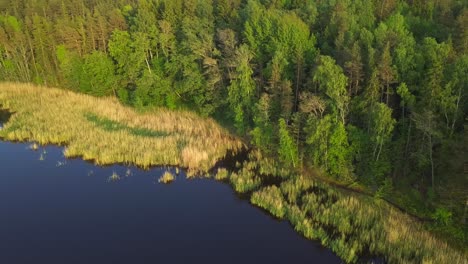 Wilderness-lake-and-rocky-beaches-in-the-deep-forest