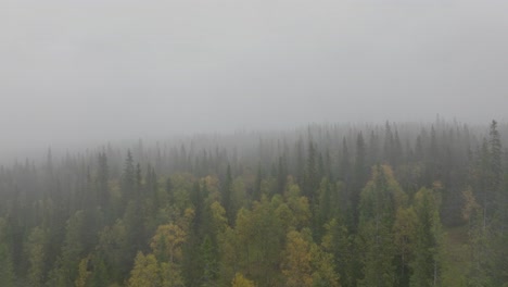 Imágenes-Aéreas-De-Drones-De-Un-Bosque-Brumoso-Durante-El-Otoño