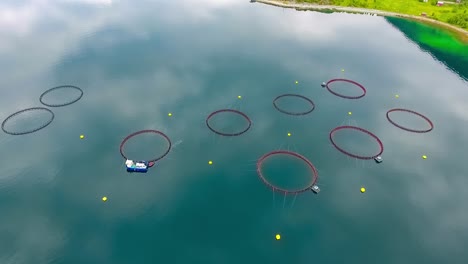 Aerial-footage-Farm-salmon-fishing-in-Norway