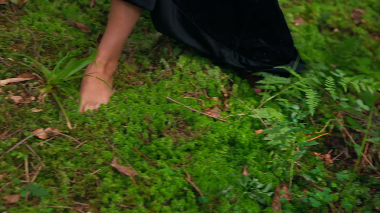 Bare female's feet. Legs of a woman in long black dress walking on green soft grass. Close-up. Slow motion.