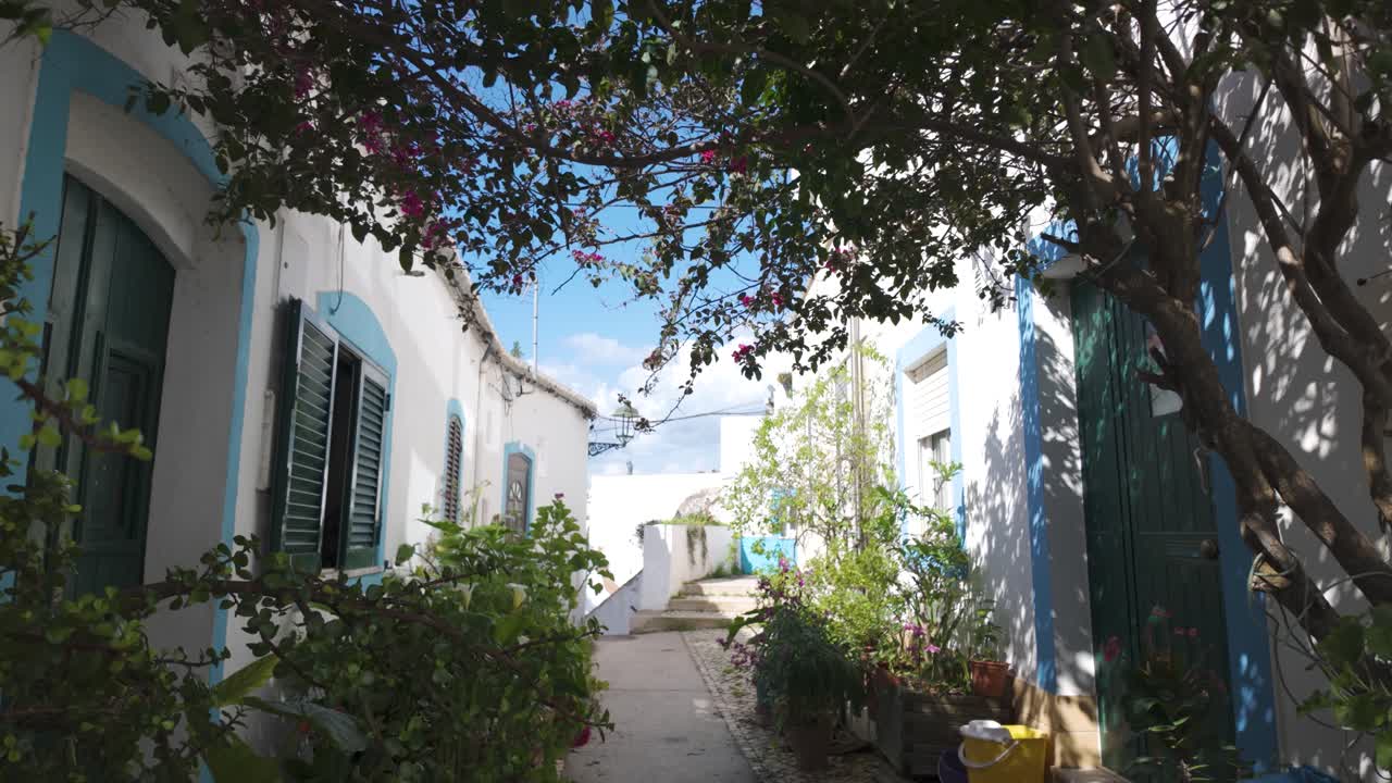 Quiet alley with potted plants and flowers in Ferragudo Algarve