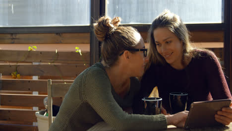 lesbian couple interacting with each other at cafe 4k