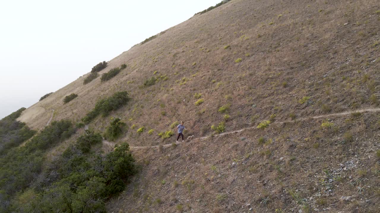 Little Dog And Active Female Owner Hike Up A Narrow Mountain Path In Wasatch Range, Utah, USA - aerial shot