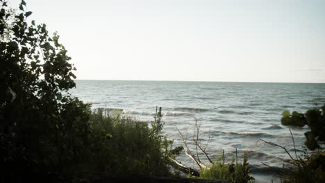 Scenic-lookout-through-tree's-onto-Lake-Ontario-from-Niagara-on-the-Lake---4K