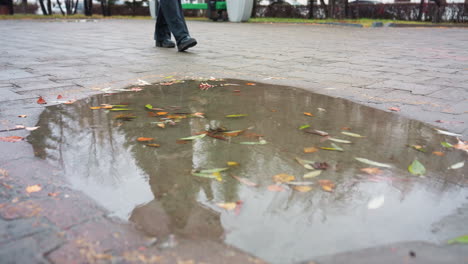 close-up of water puddle on wet paved path with scattered autumn leaves reflecting trees above, while leg in black boot steps by slowly during cold overcast day with light snowfall falling in peaceful park