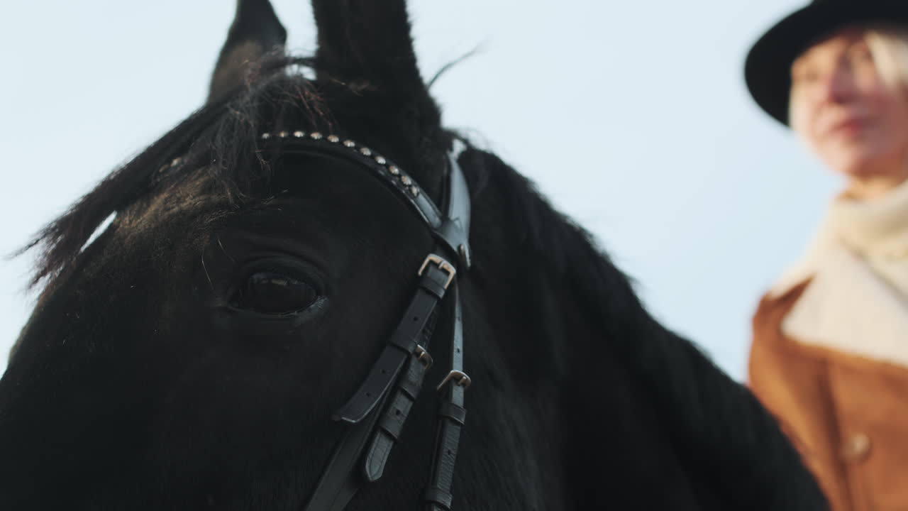 농장 에서 말 을 타고 다니는 여자 의 클로즈업