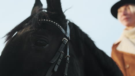 Closeup-woman-horseriding-at-the-farm