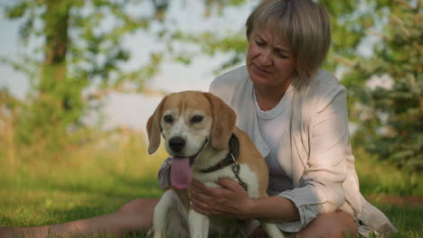 mujer sentada en un campo cubierto de hierba sosteniendo a su perro con afecto mientras acaricia suavemente al perro, ambos disfrutando de un momento pacífico al aire libre, el fondo presenta vegetación exuberante y árboles bajo la cálida luz del sol