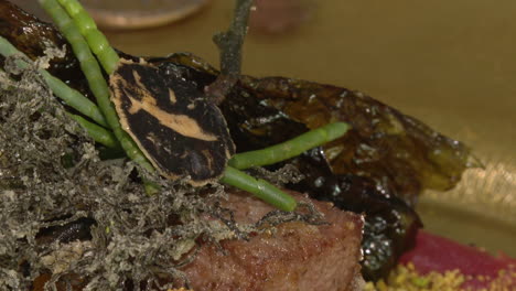 Gourmet Plated Dish with Gold and Seaweed