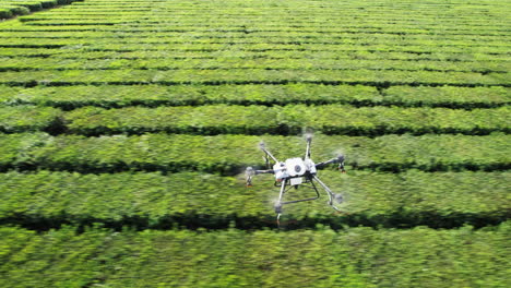 drone dji agras t30 flight over a green field spraying herbicides or water drone shot from above