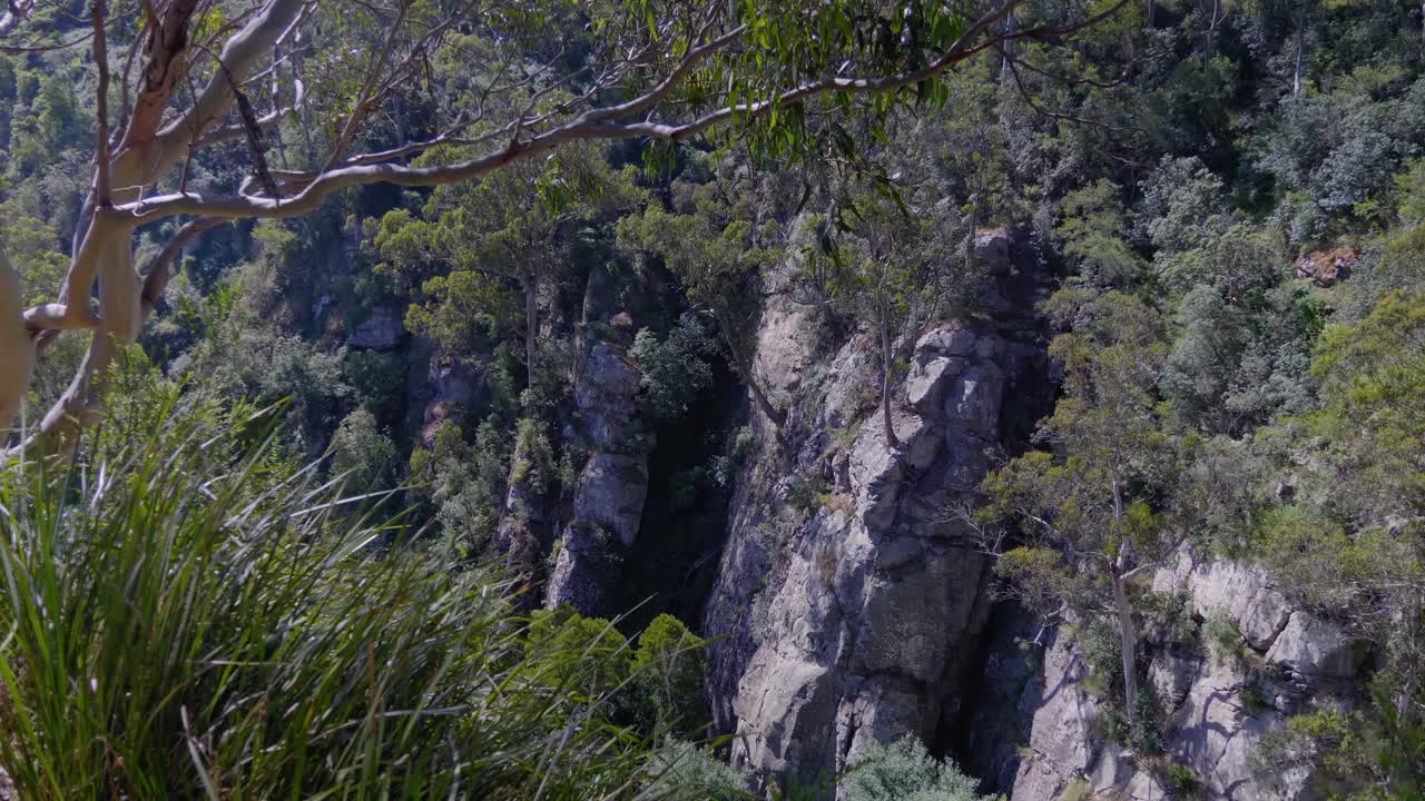 el cañón y los acantilados de agnes falls en el sur de gippsland, australia