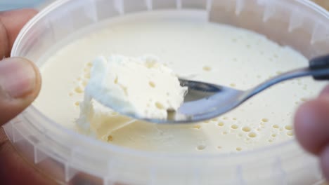 creamy dairy product in a container