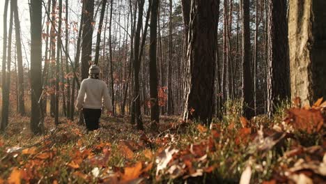 female in the middle of autumn forest at sunny day, slow motion