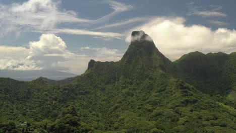 aerial shot of a spectacular mountain covered by lush vegetation in mo'orea island