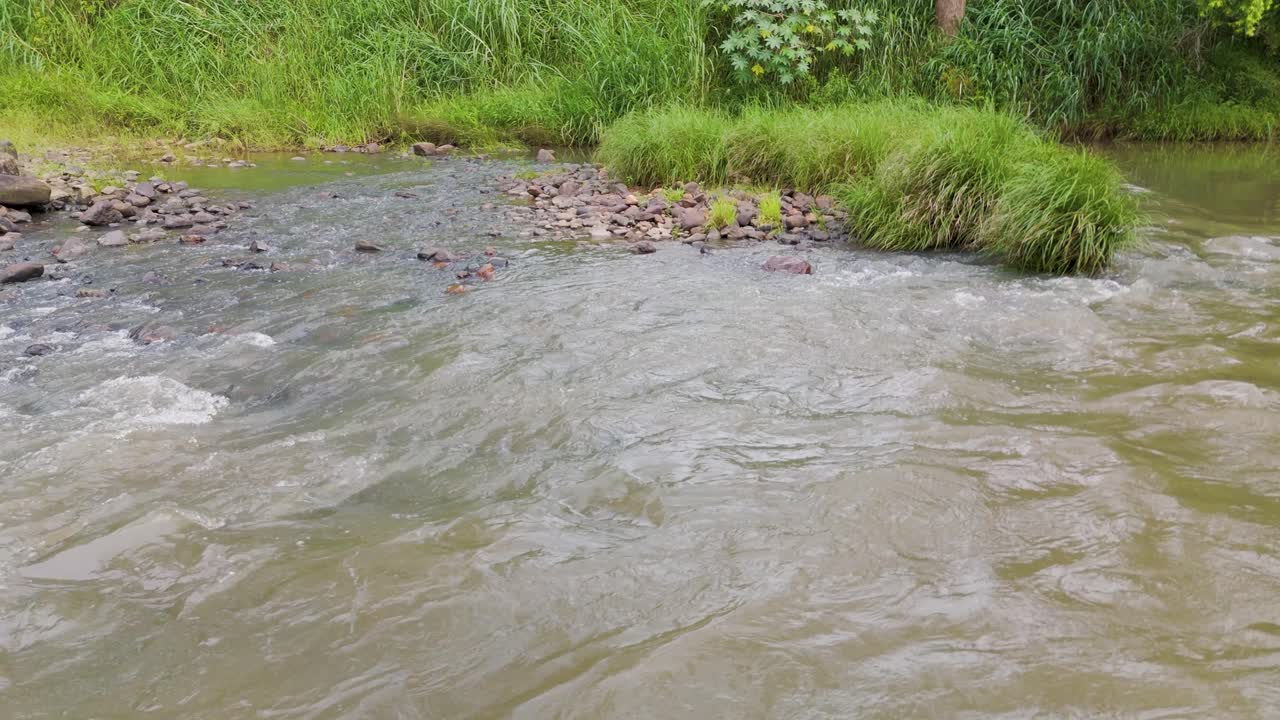 Water rushes over rocks and grasses