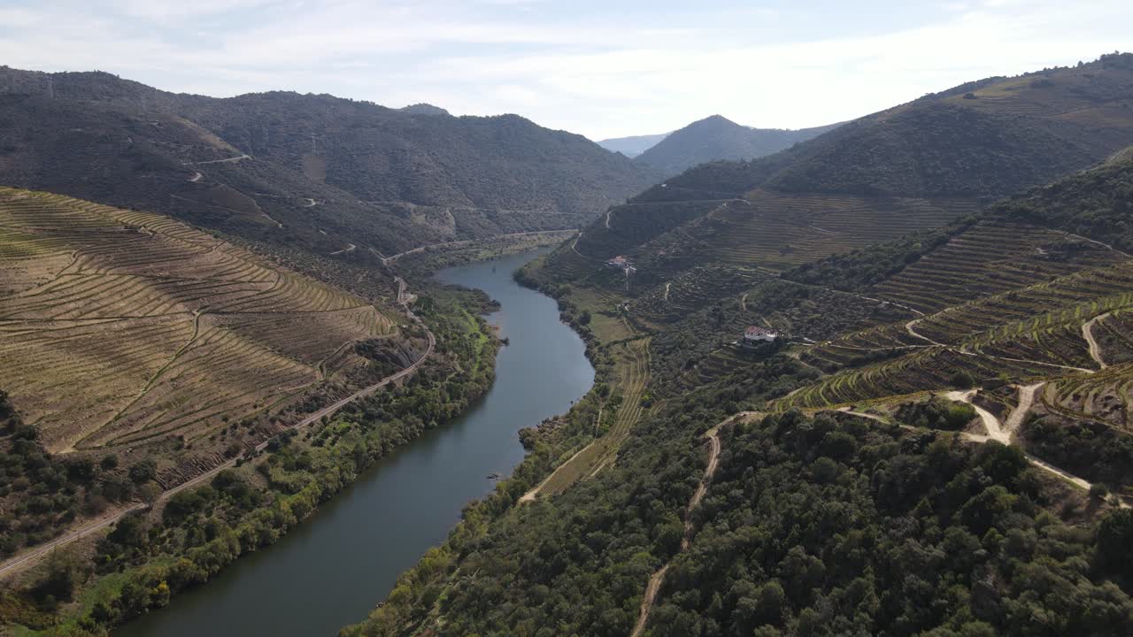 Drone view of Douro River winding through green terraced vineyards in Alto Douro Wine Region with mountain landscape and narrow roads under soft sunlight in northern Portugal