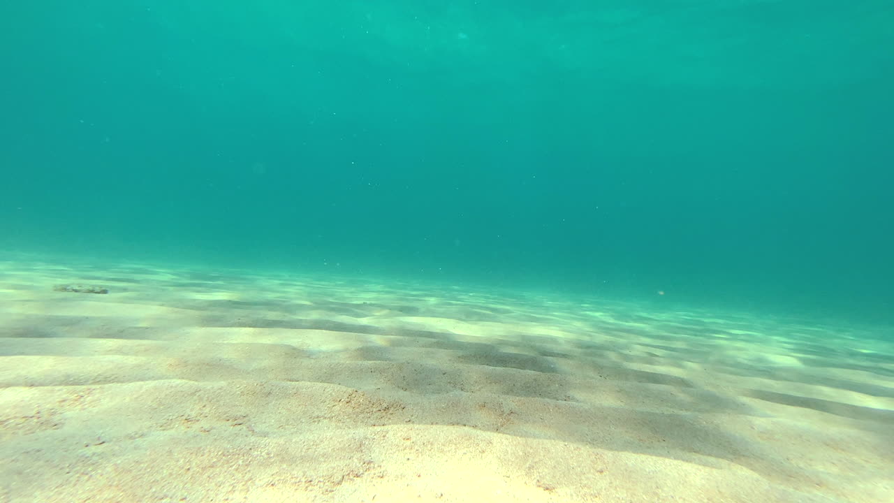 Sandy seabed in the Adriatic Sea. Mediterranean Sea, Italy