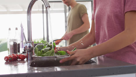 Video-of-midsection-of-diverse-couple-preparing-vegetables-for-cooking