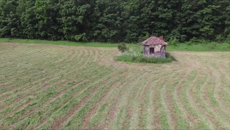 Dies-Ist-Eine-Aufnahme-Vom-Flug-In-Den-Wald,-Eine-Alte-Hütte-Liegt-Auf-Dem-Weg