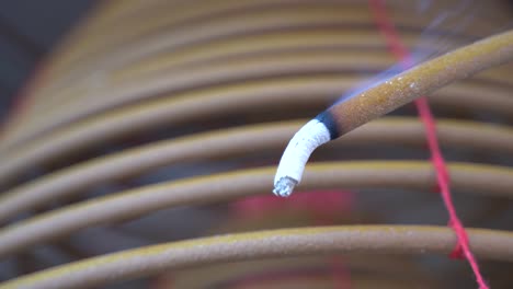 burned coil swirl incense in macau (macao) temple