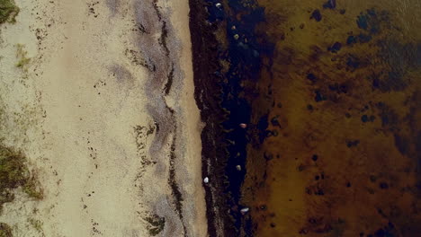 Aerial-bird's-eye-view-of-a-wonderful-lake-shore-of-Lake-with-brown-soil-visible-from-above-on-a-sunny-day